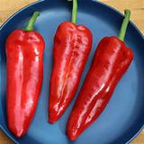 Capsicum (Long Red) seeds $3.50