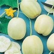 Cucumber (Crystal Apple) seeds $3.50