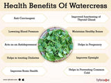 Watercress seeds $3.50