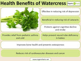 Watercress seeds $3.50