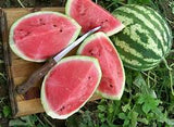 Watermelon (Crimson sweet) seeds $3.50